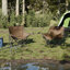 Folding Camping Chair-365856602