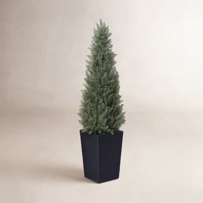 Adcock 48" Cedar Topiary in Decorative Vase