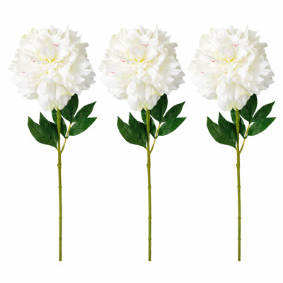 Ensemble de 3 jets de pivoine Sullivan's