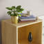 Gerardi 32cm W Standard Bookcase-70966733-28126304