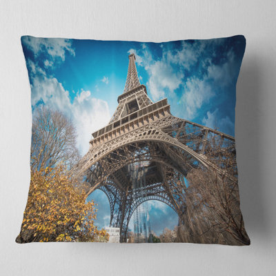 Throw Pillow