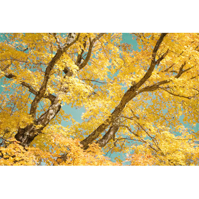 Autumn Tapestry V by Judy Stalus - Wrapped Canvas Print