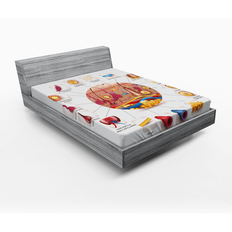 Drap-housse éducatif, Drap-housse de taille double