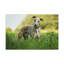 No Frame Print on Canvas-1615031688