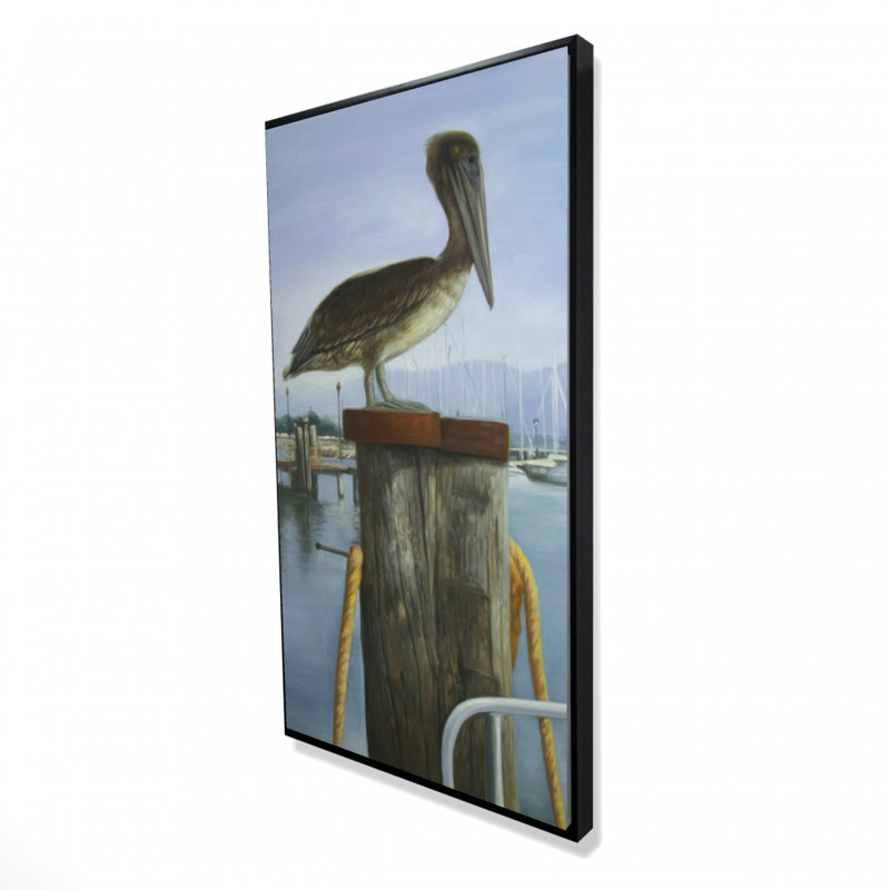 Pelican - 24"x48" Framed canvas