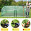 Mini Greenhouse with Roll-Up Door, 180 x 90 x 90 cm, Foil Greenhouse with HDPE Cover, UV-Resistant, Waterproof Plant House, Ideal for Growing Vegetables, Flowers, Green-131516285