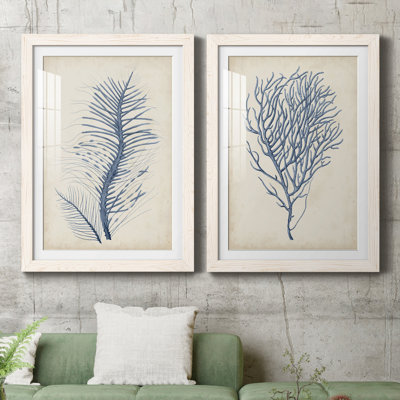 Indigo Coral