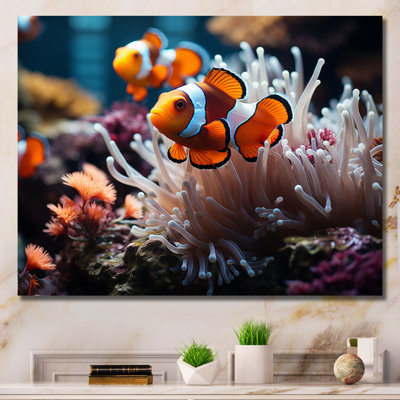 «Orange clownfish», art marin mural