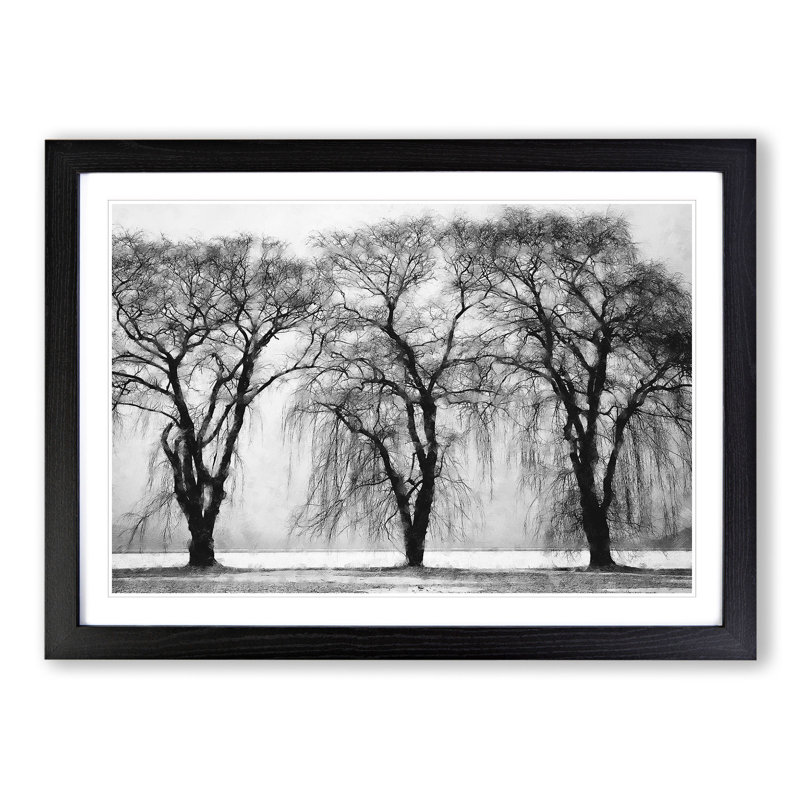 Three Trees at Winter - Framed Print, 36cm H x 48cm W x 2cm D, Black