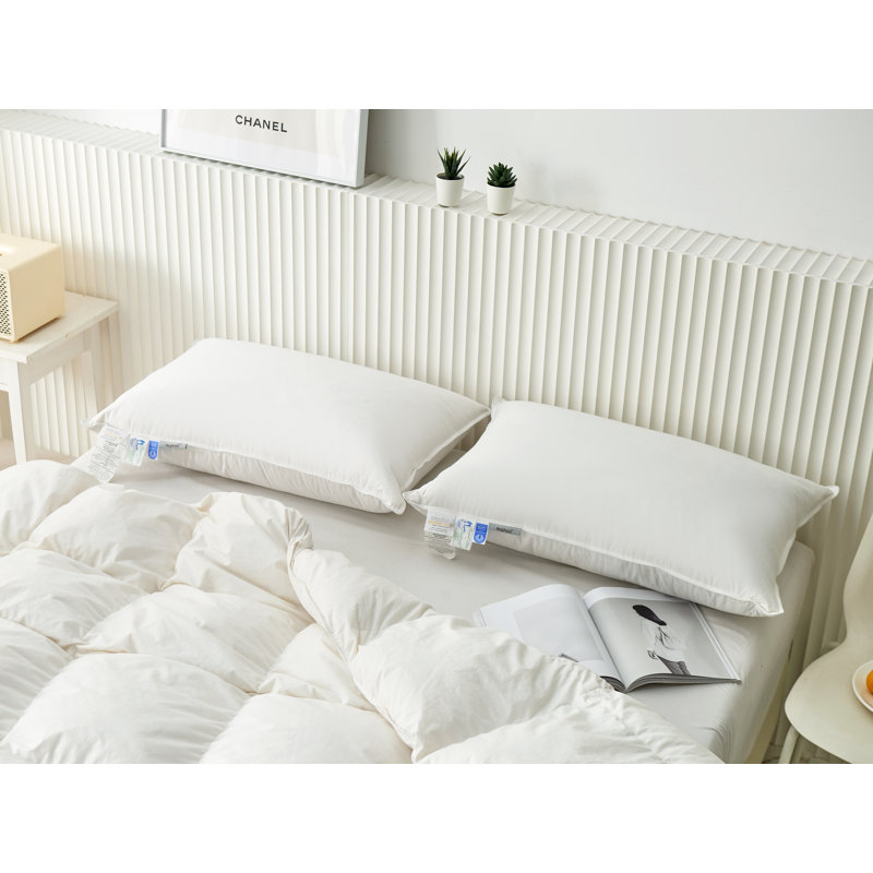 Oreiller moyen en duvet de canard, Grand
