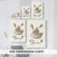 Pastel Knorr Shells VII - Cavas enveloppés de galerie-108825321