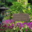 Butterfly Rose Quote Personalized Garden Sign-1285404431-1285630481