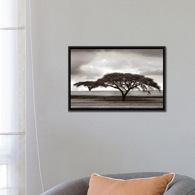 « d’acacia trees », reproduction de photo sur toile