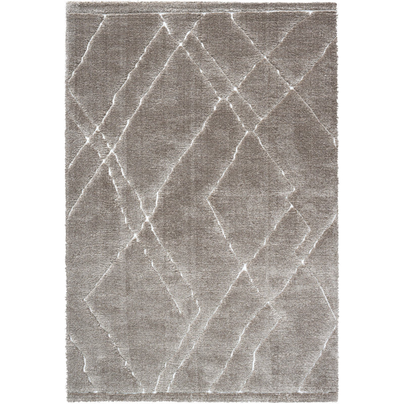 Bradyn Abstract Area Rug, Rectangle 240 x 340cm