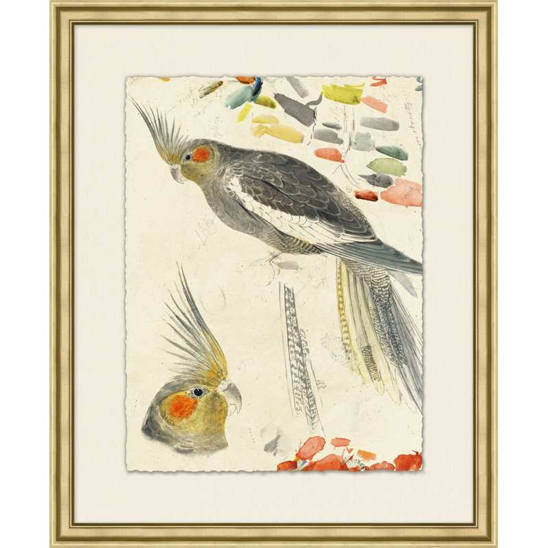 Lewin's Parrots 2 Painting