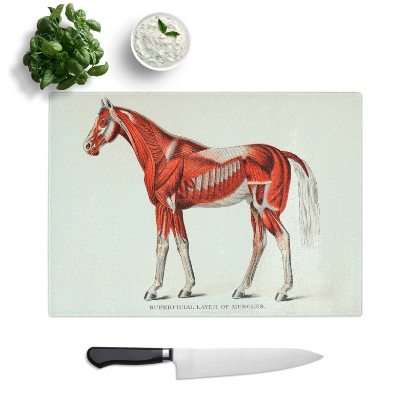 Tempered Glass Anatomy of a Horse Chopping Board, 39 cm W x 28.5 cm L