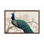 Peacock & Blossoms II by Tim OToole - Gallery-Wrapped Canvas Giclée on Canvas-1985708751-1985727583