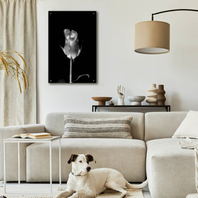 Epic Art Rose Xray 6 by Life BeautifuLEE Acrylic Glass Wall Art