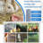 48inx100ft Multi-Purpose Wire Mesh Fencing for Farms and Gardens