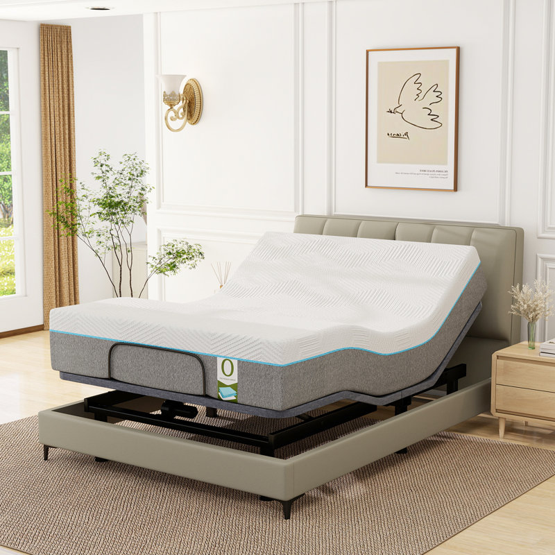 Alwyn Home Selected！Smart Adjustable Bed System with 12" Cooling Gel Mattress - Zero Gravity, Anti-Snore, Massage, USB Charging, 750Lbs Capacity