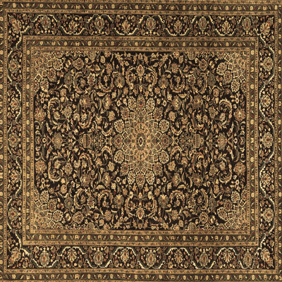 Performance Oriental Indoor Rug