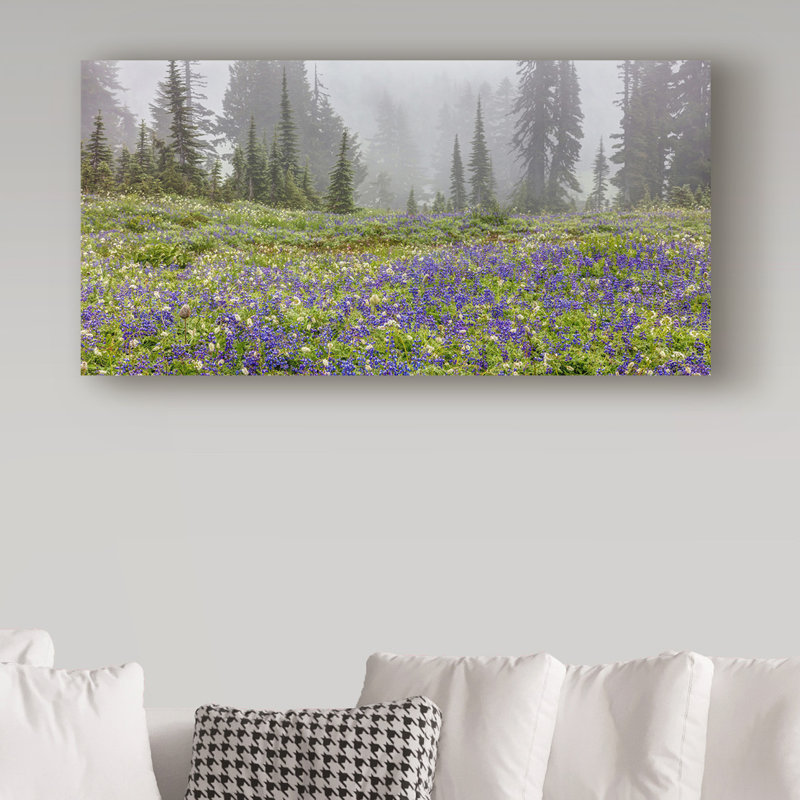 Fabrizzio Pierre Leclerc Mountain Wildflowers - Reproduction de photo sur toile tendue, H 10 po x l 19 po x P 2 po