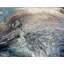River Water Print by Rachel Farmer-1901325239-1901325254