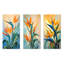 Profil de paradis fleur-1154031716-1154031715