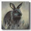 Wild Hare I sur impression sur toile-750969852