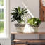 Ensemble de deux pots de fleurs avec relief classique-1157473355