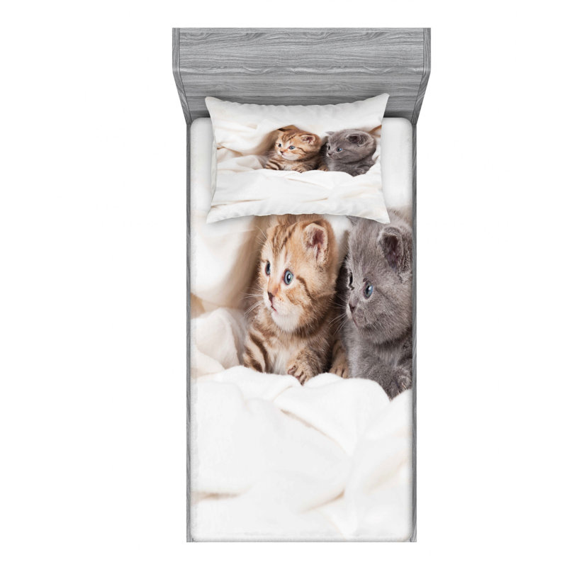 Microfiber Sheet Set, Twin XL Sheet Set with Fitted Sheet