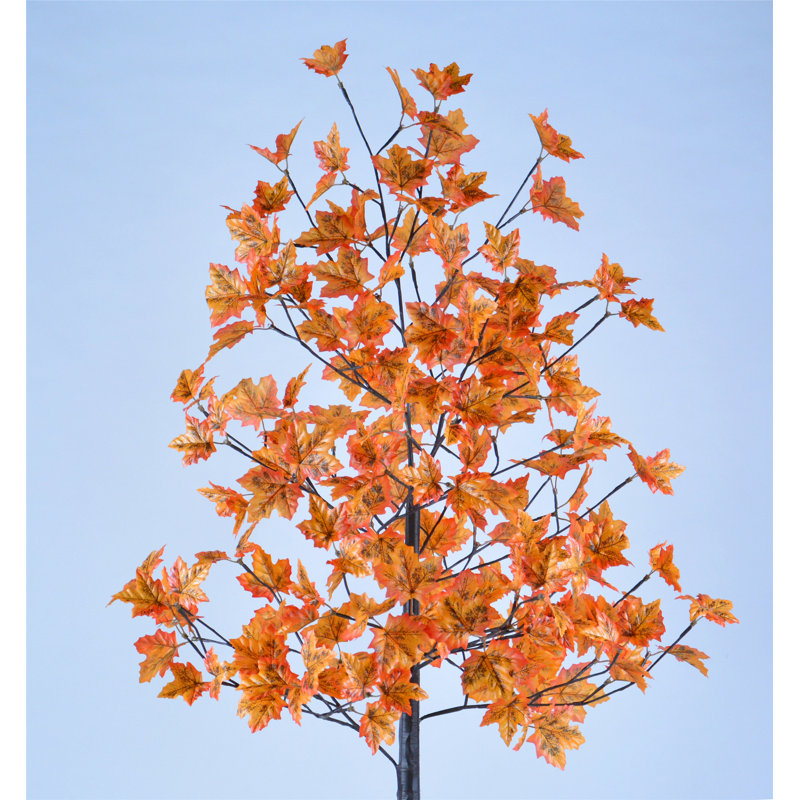 66'' Lighted Trees & Branches