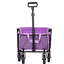 Collapsible Foldable Wagon With Wheels-125205177