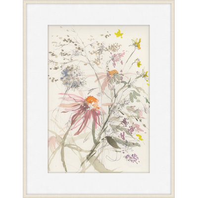Echinacea 1 Print