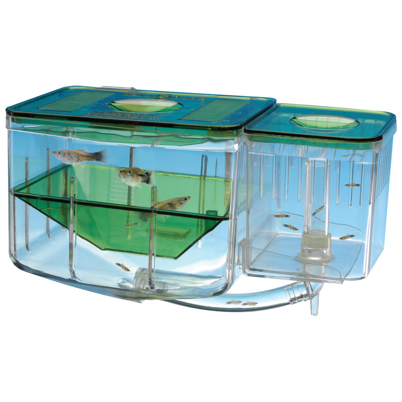 Décoration pour aquarium Eli Peace