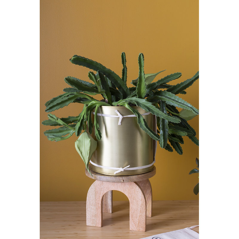 Liner Plant Stand