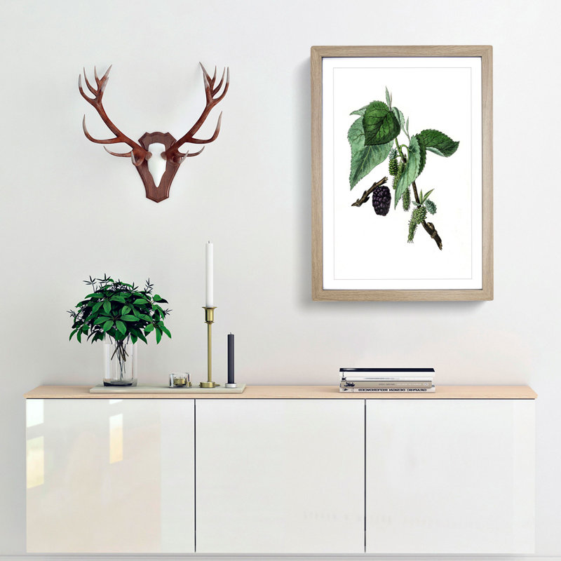 Black Mulberry Plant Illustration - Framed Print, 36cm H x 27cm W x 2cm D, Oak Framed