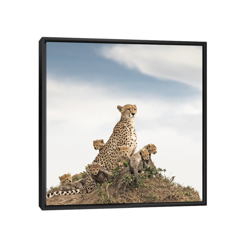 Colour Cheetah & Cubs 1 Piece Wall Art on Canvas, 45.72 cm H x 45.72 cm W, Black Framed Canvas