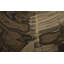 Cast Naturals Petrified Wood Wall Décor