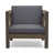 Gray Frame / Dark Gray Cushion