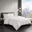 Year Round Warmth 300 Thread Count Cotton Sateen Down Alternative 3M Thinsulate Comforter-1867017842