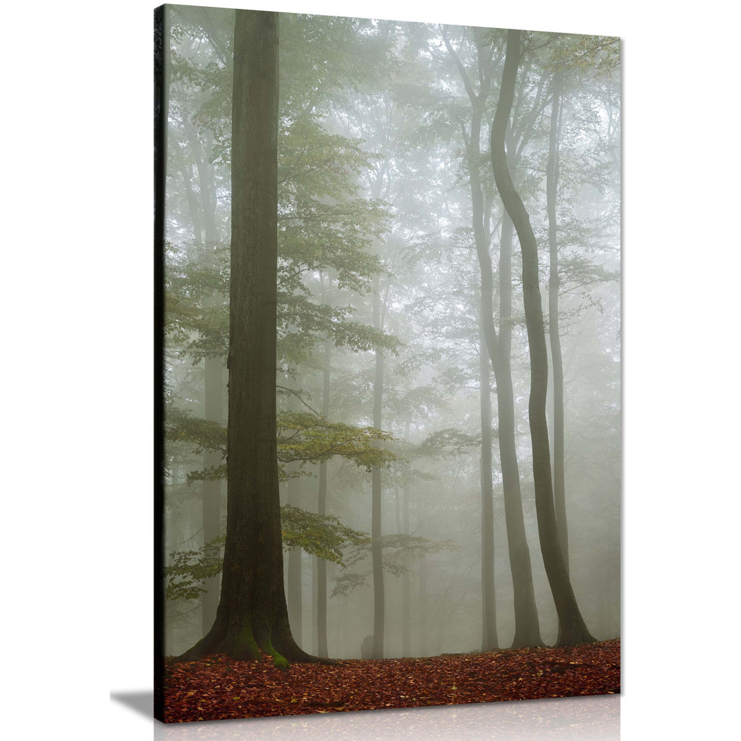 Panther Print Fine Art Prints Misty Forest Tall Trees Artistic Framed Canvas Print, Pictures For Home Walls, Bedroom, Living Room & Bathroom Décor