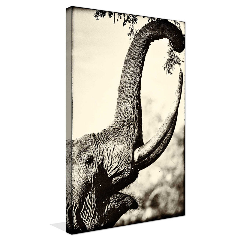 «Reaching High», reproduction de photo, H 40 po x l 24 po x P 1,5 po, Toile tendue