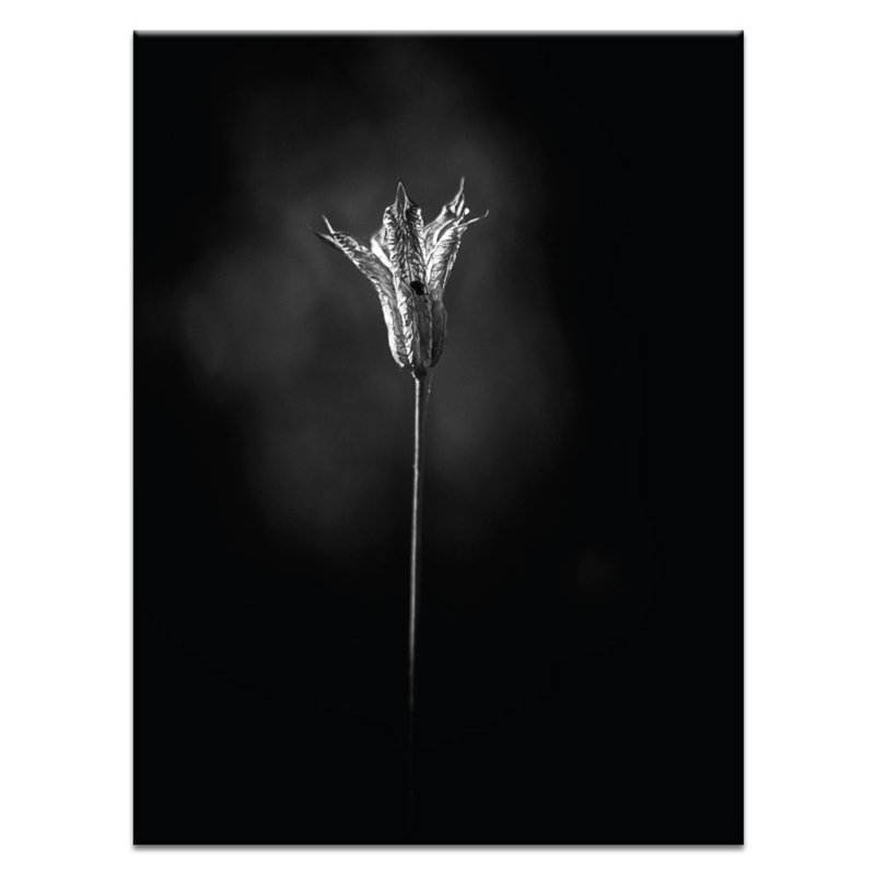 Wrapped Canvas Print, 102cm H x 76cm W