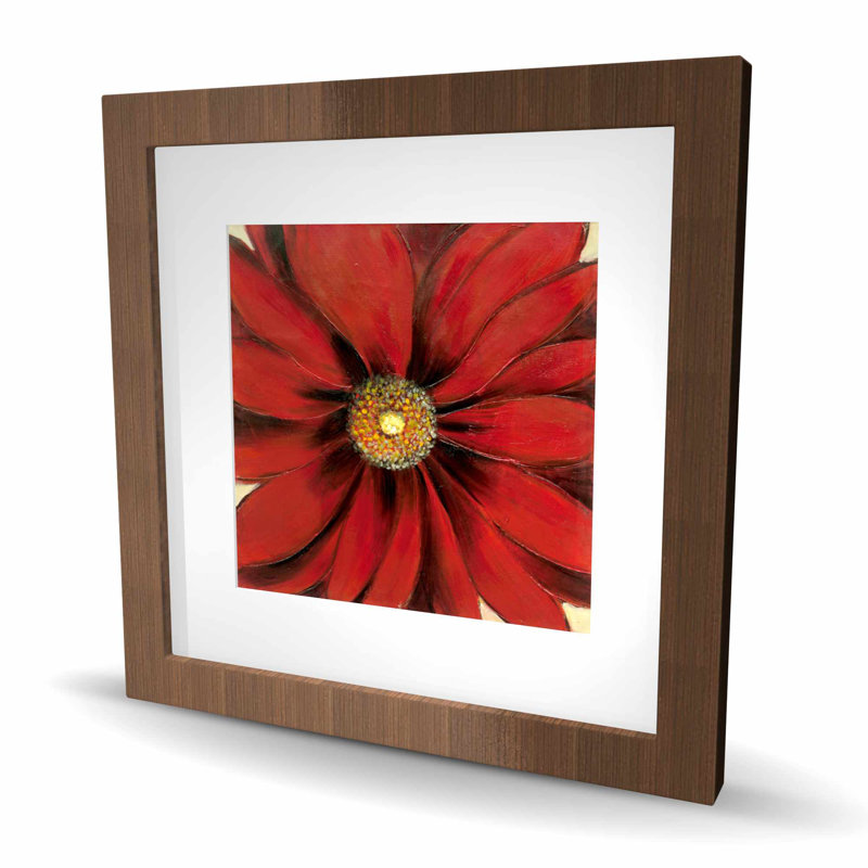 Red Daisy - Botanical Living