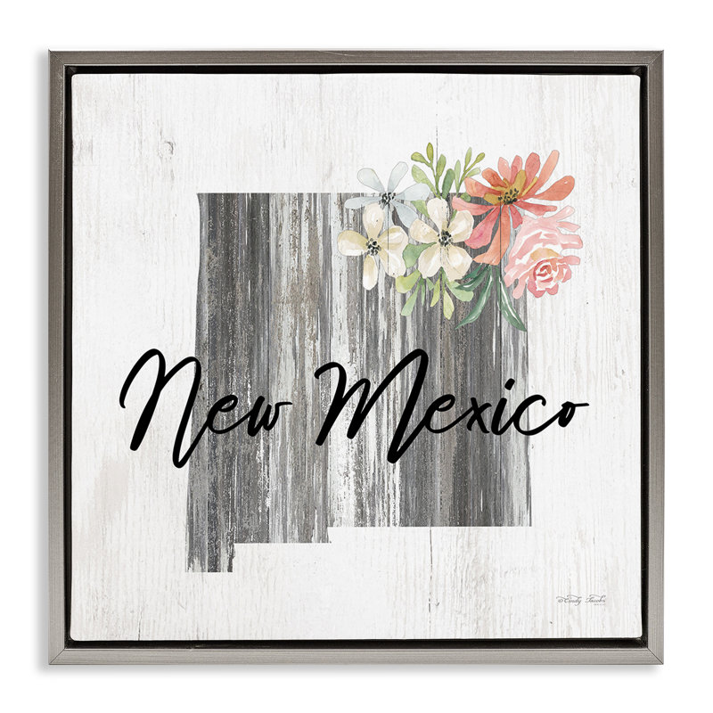 "Shabby Elegance New Mexico", art mural encadré flottant par Cindy Jacobs, Cadre flottant gris lustré, H 18 po x l 18 po
