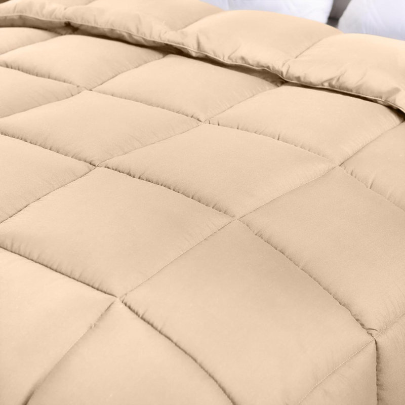 All Season 250 GSM Comforter - Soft Down Alternative Comforter - Plush Siliconized Fiberfill Duvet Insert - Box Stitched (Twin/Twin XL, Plum)