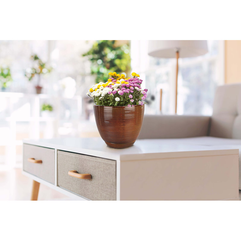 Caylin Ceramic Pot Planter with Saucer