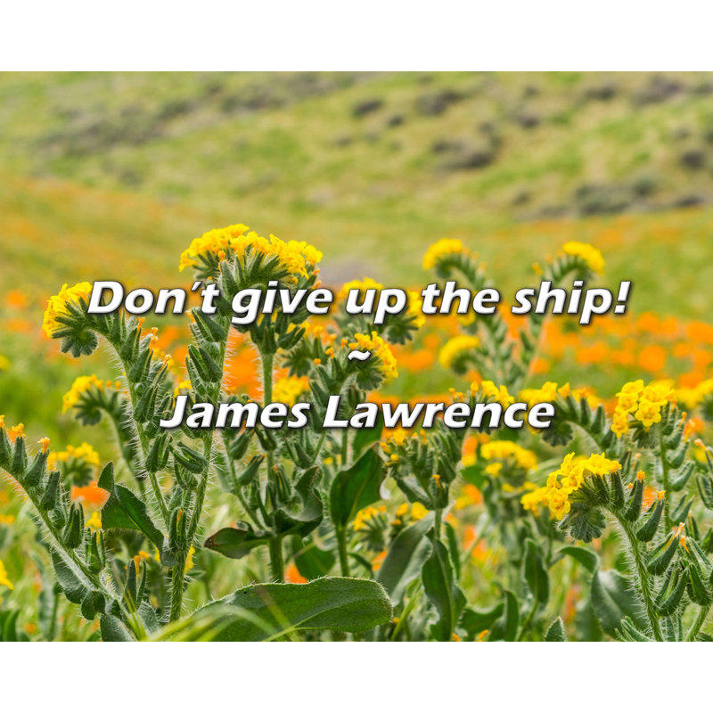 Citation artistique «N'abandonnez pas le bateau! Toile tendue par James Lawrence