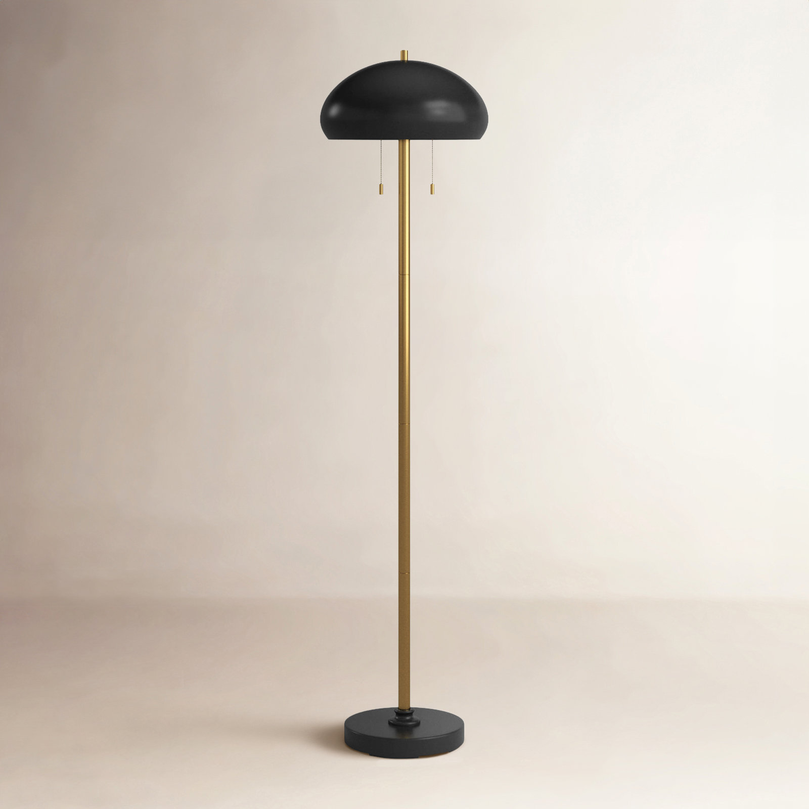 Damin 63.5 " Dimmable Floor Lamp